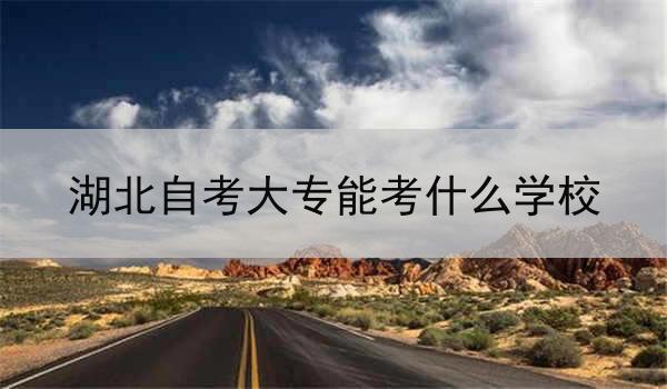 湖北自考大专能考什么学校