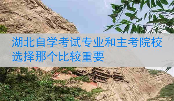 湖北自学考试专业和主考院校选择那个比较重要