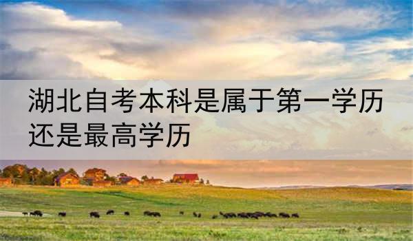 湖北自考本科是属于第一学历还是最高学历