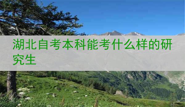 湖北自考本科能考什么样的研究生