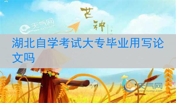 湖北自学考试大专毕业用写论文吗