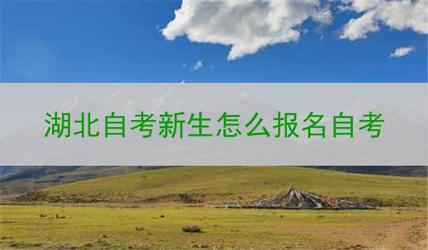 湖北自考新生怎么报名自考