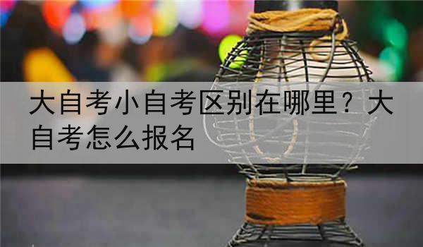 大自考小自考区别在哪里?大自考怎么报名