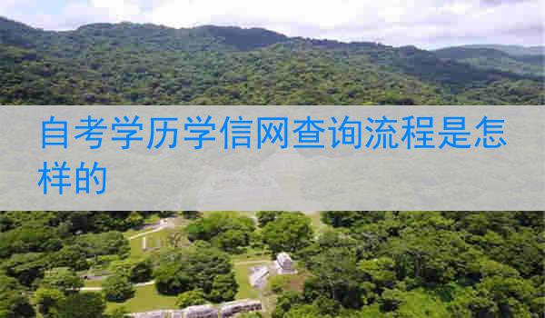 自考学历学信网查询流程是怎样的