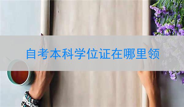 自考本科学位证在哪里领