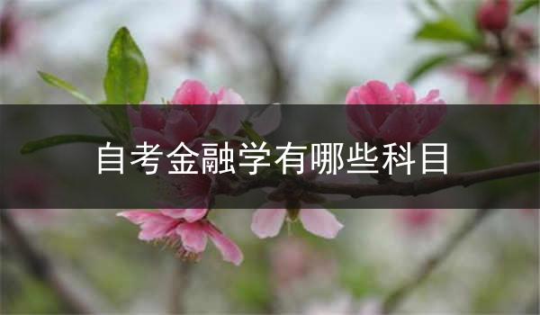 自考金融学有哪些科目