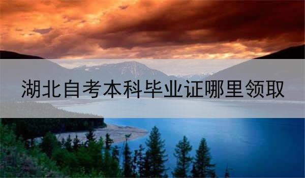 湖北自考本科毕业证哪里领取