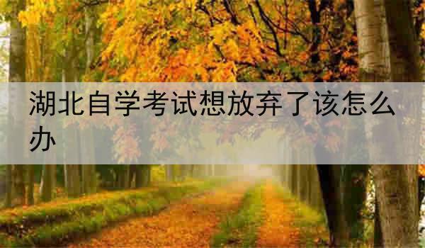 湖北自学考试想放弃了该怎么办