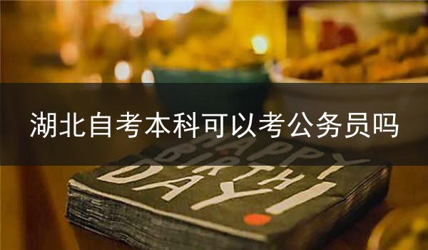 湖北自考本科可以考公务员吗