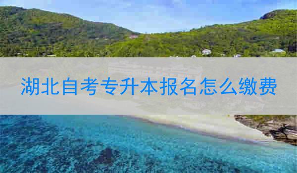 湖北自考专升本报名怎么缴费