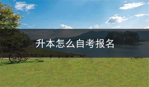 升本怎么自考报名