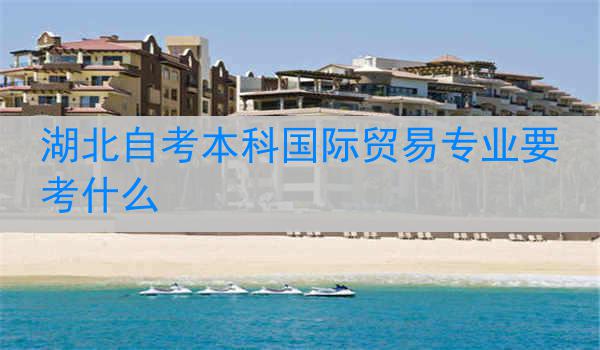 湖北自考本科国际贸易专业要考什么