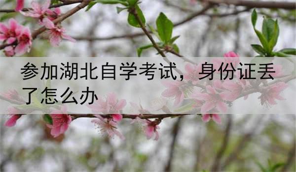 参加湖北自学考试，身份证丢了怎么办