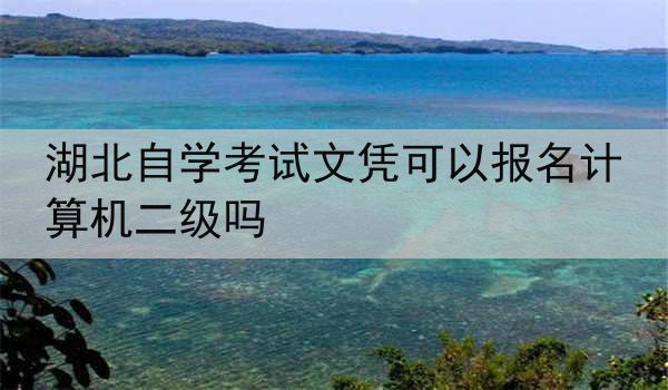 湖北自学考试文凭可以报名计算机二级吗
