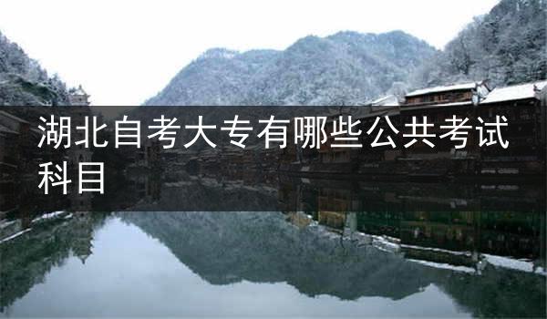 湖北自考大专有哪些公共考试科目