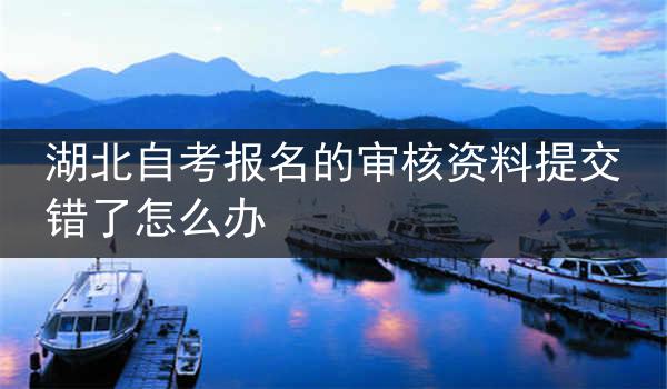 湖北自考报名的审核资料提交错了怎么办