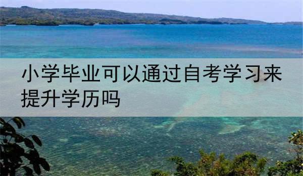 小学毕业可以通过自考学习来提升学历吗