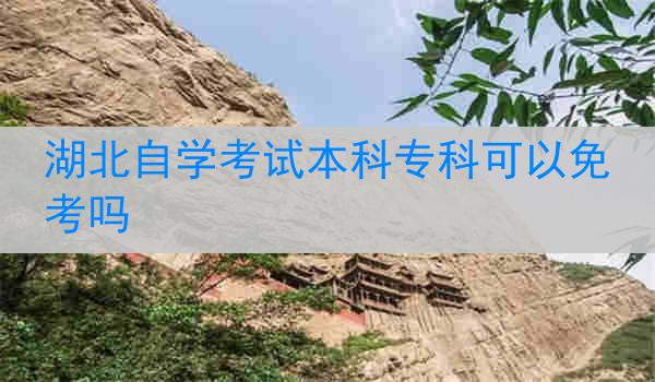 湖北自学考试本科专科可以免考吗