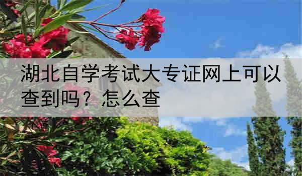 湖北自学考试大专证网上可以查到吗？怎么查