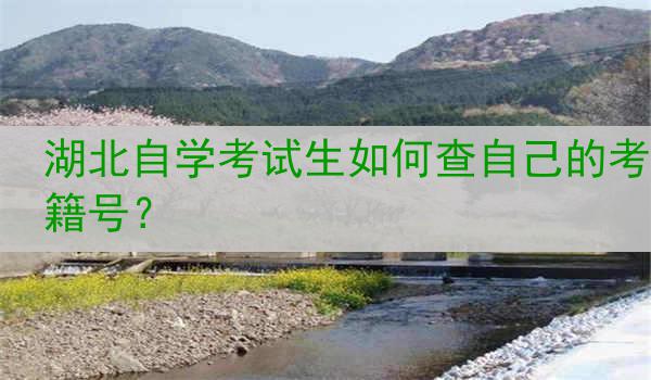 湖北自学考试生如何查自己的考籍号？