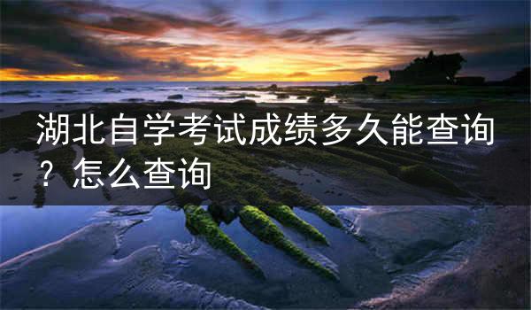 湖北自学考试成绩多久能查询？怎么查询