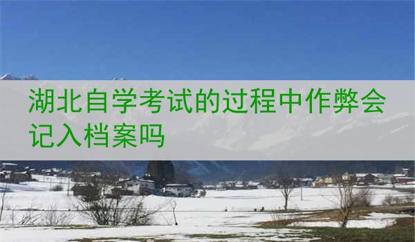 湖北自学考试的过程中作弊会记入档案吗