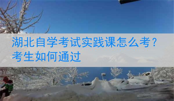 湖北自学考试实践课怎么考？考生如何通过