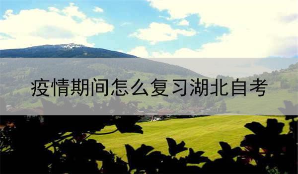 疫情期间怎么复习湖北自考