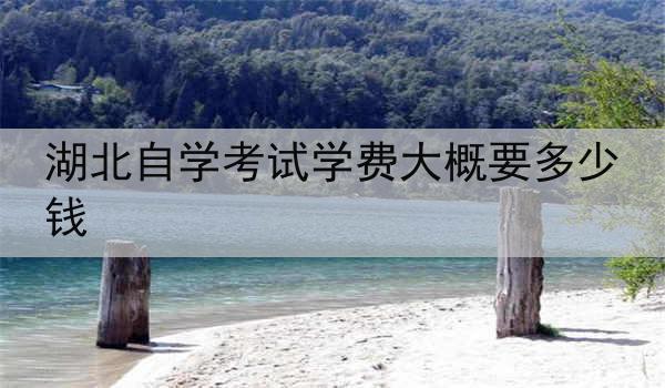 湖北自学考试学费大概要多少钱