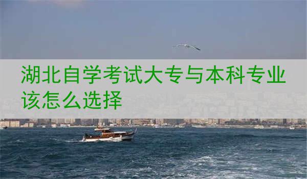 湖北自学考试大专与本科专业该怎么选择