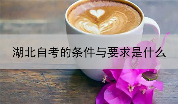 湖北自考的条件与要求是什么