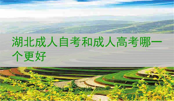 湖北成人自考和成人高考哪一个更好