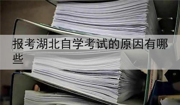 报考湖北自学考试的原因有哪些