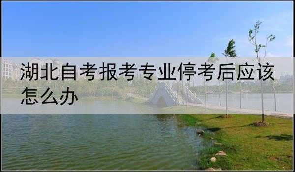 湖北自考报考专业停考后应该怎么办