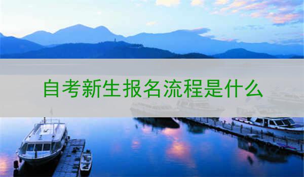 自考新生报名流程是什么