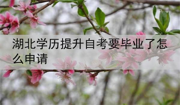 湖北学历提升自考要毕业了怎么申请