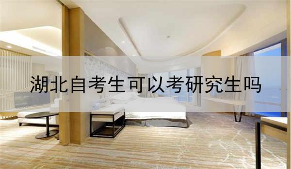 湖北自考生可以考研究生吗