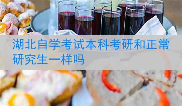 湖北自学考试本科考研和正常研究生一样吗