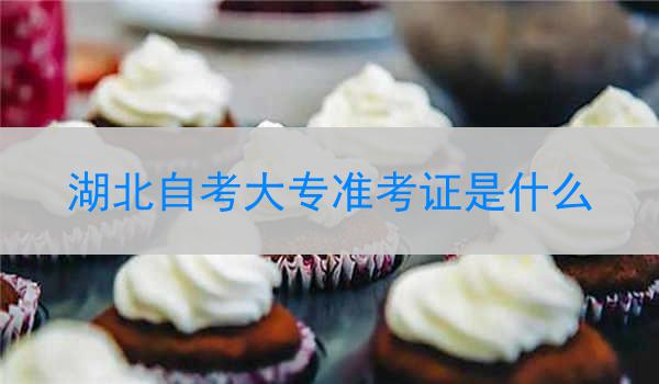 湖北自考大专准考证是什么