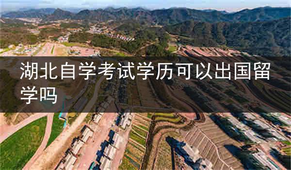 湖北自学考试学历可以出国留学吗