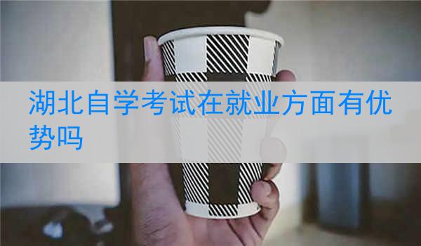 湖北自学考试在就业方面有优势吗
