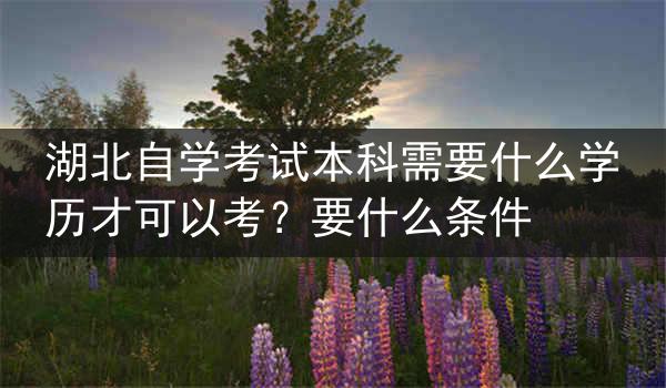 湖北自学考试本科需要什么学历才可以考？要什么条件