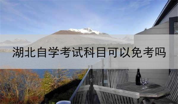 湖北自学考试科目可以免考吗