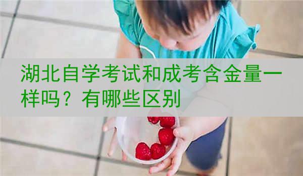 湖北自学考试和成考含金量一样吗？有哪些区别
