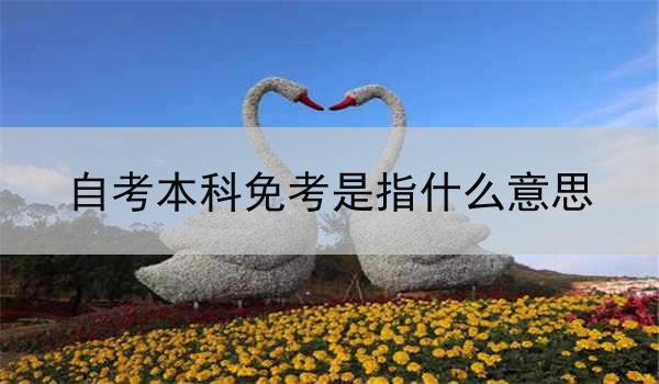 自考本科免考是指什么意思