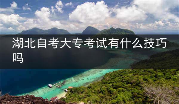 湖北自考大专考试有什么技巧吗