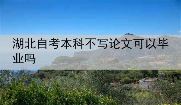 湖北自考本科不写论文可以毕业吗