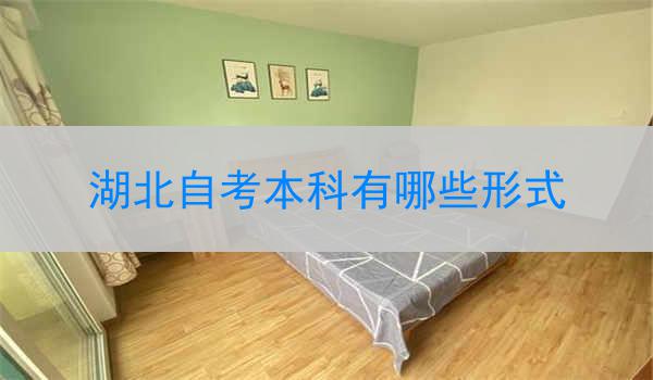 湖北自考本科有哪些形式