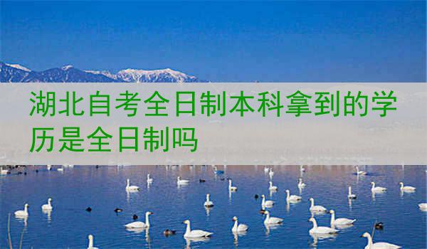 湖北自考全日制本科拿到的学历是全日制吗