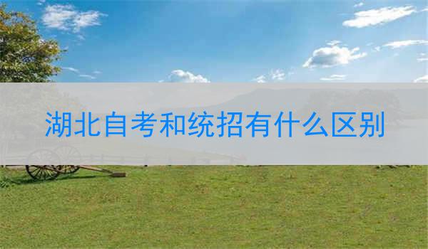 湖北自考和统招有什么区别